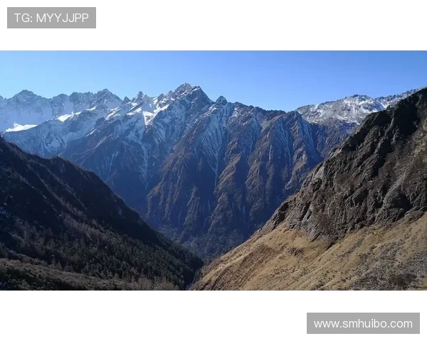 攀登人生的高峰：王强与深度对话的心路历程