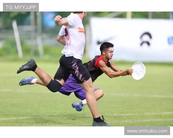 吴磊畅谈飞盘技巧与心得体会助你提升运动水平