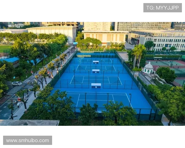 广州网球队的蜕变之路：从传统强队到现代化竞技新标杆